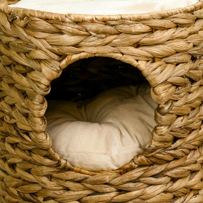 Tour de chat, grotte de chat avec 2 grottes séparées, 1 zone couchée, jacinthe d'eau, nature