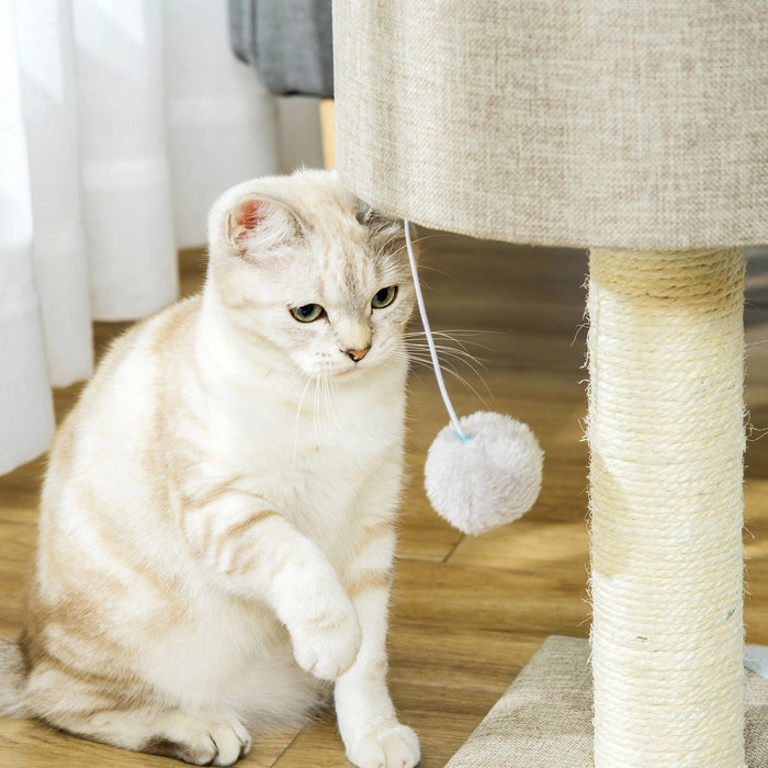 Stratching Post pour les chats avec une balle de chat gris 30x30x50cm