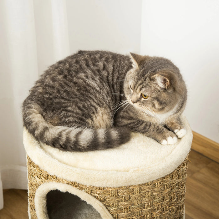 Scratch Bin, Cat Scratching Post pour les niveaux de chats 3 avec une peluche de sisal, hauteur 70 cm