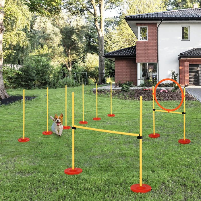 Hurdle Set Slalom Dog Training Set Plastic, 99x65x94cm