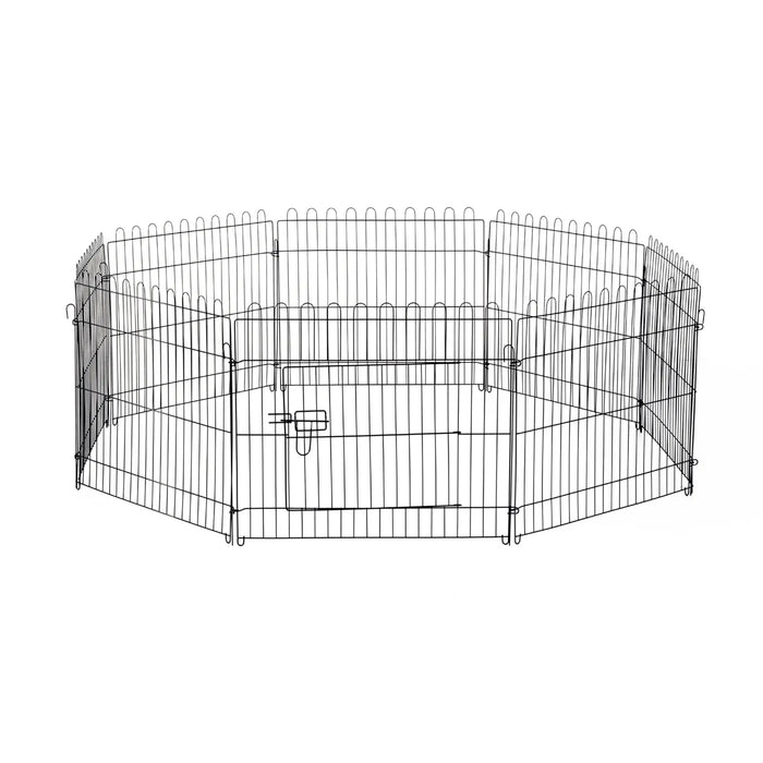 Puppy Puppy Spout Fence Fence Freewheeling, 71x61cm