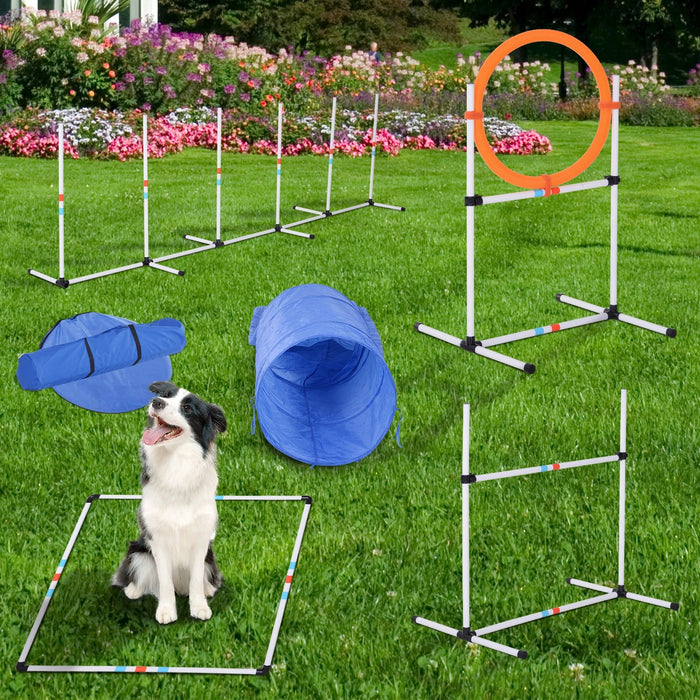 Hunde-Agility-Set Hundetrainigsset mit Hundetunnel, 328x65x94,5cm